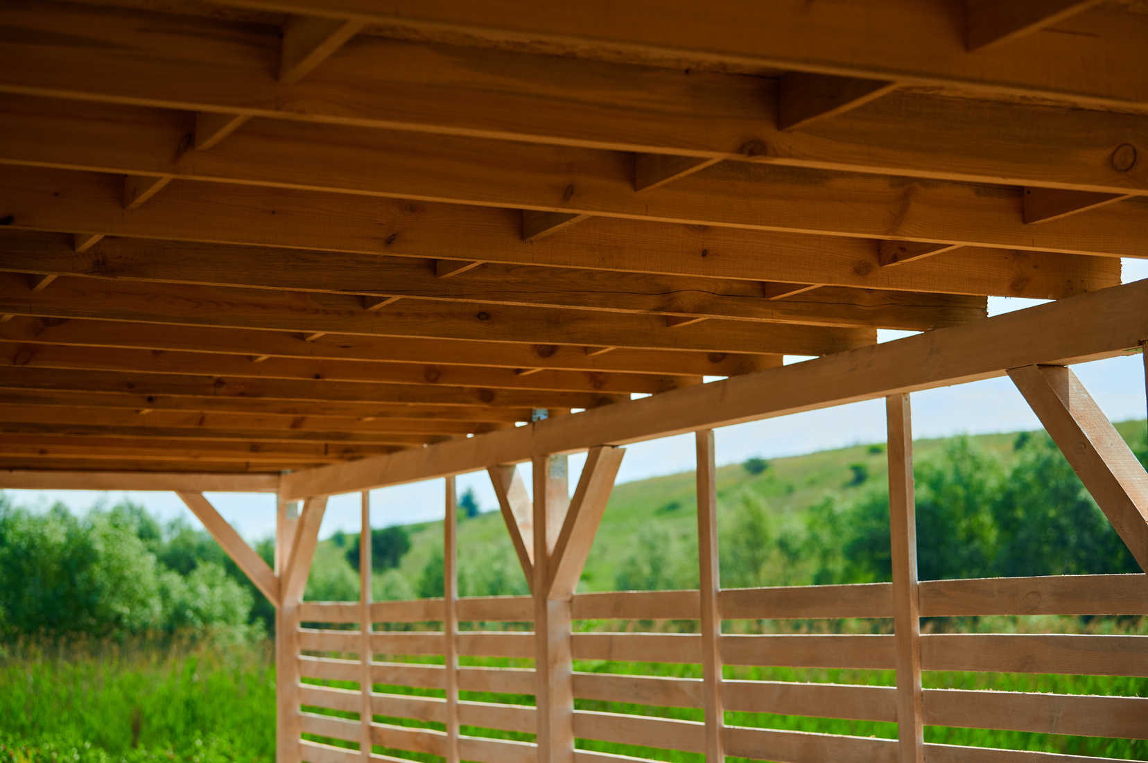 Roof of beams gazebo under a canopy